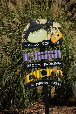 Halloween Decorations for Outside